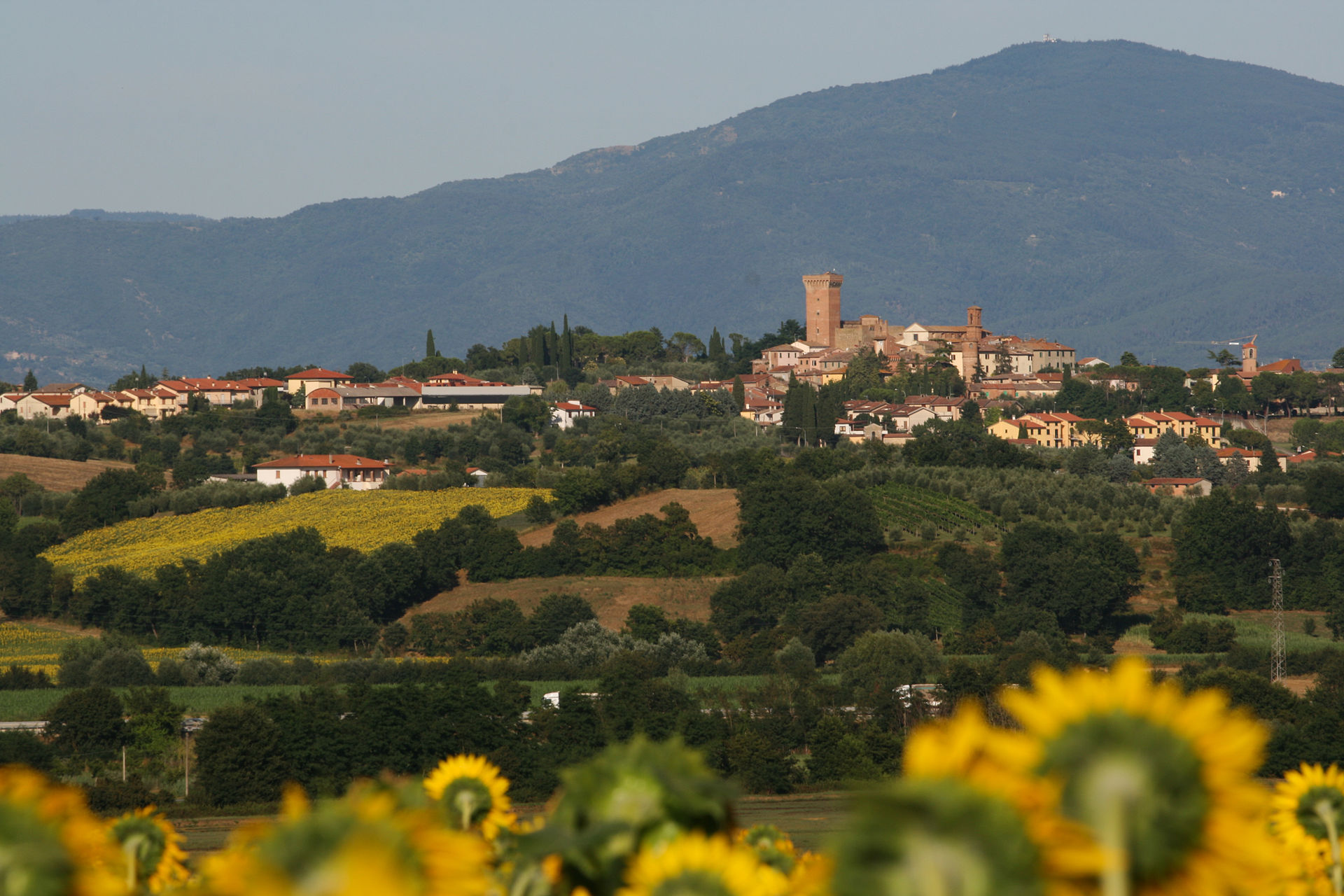 Marciano della Chiana